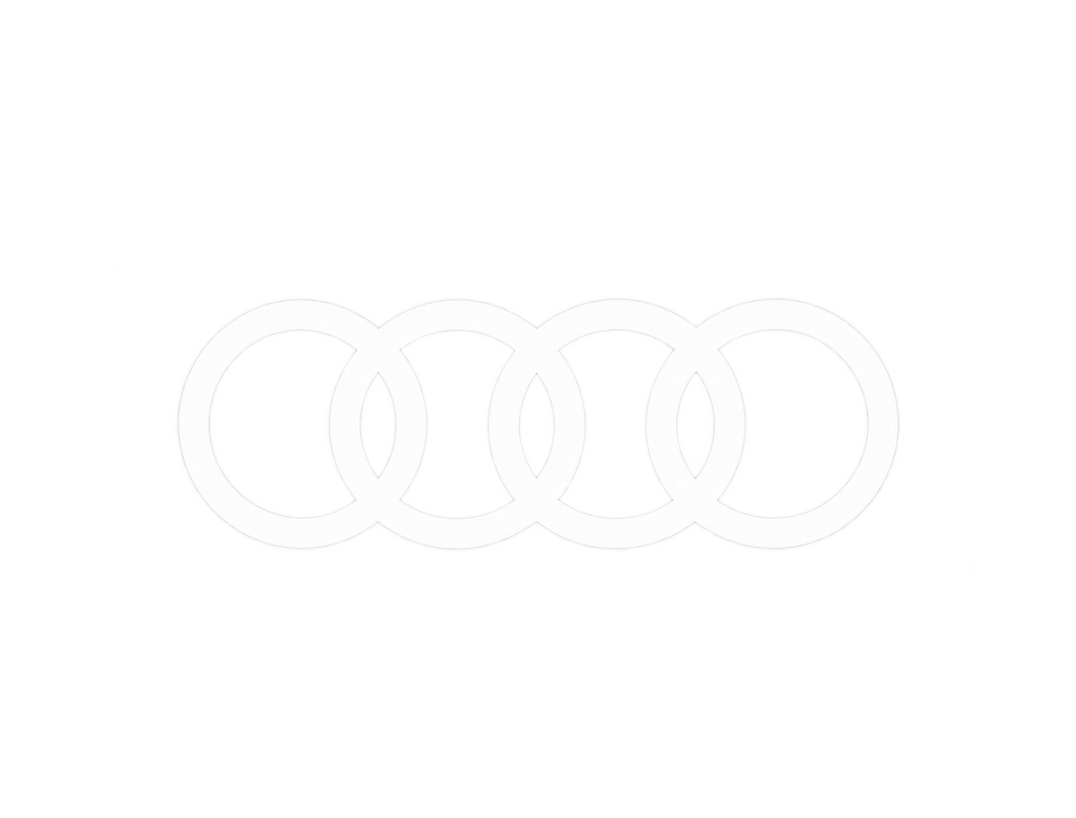 𝐀𝐔𝐃𝐈